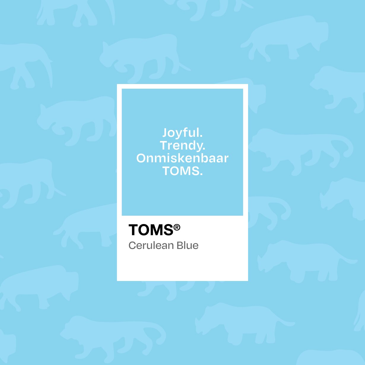 Hannah Bronfman smiling with flowers.