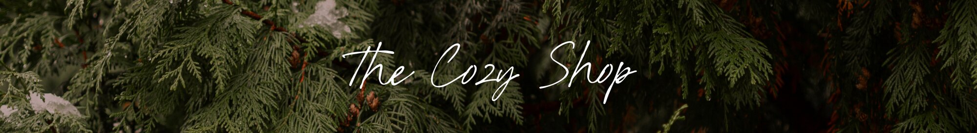 The Cozy Shop.