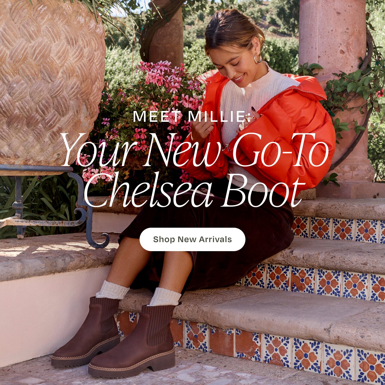 Shop New Collection