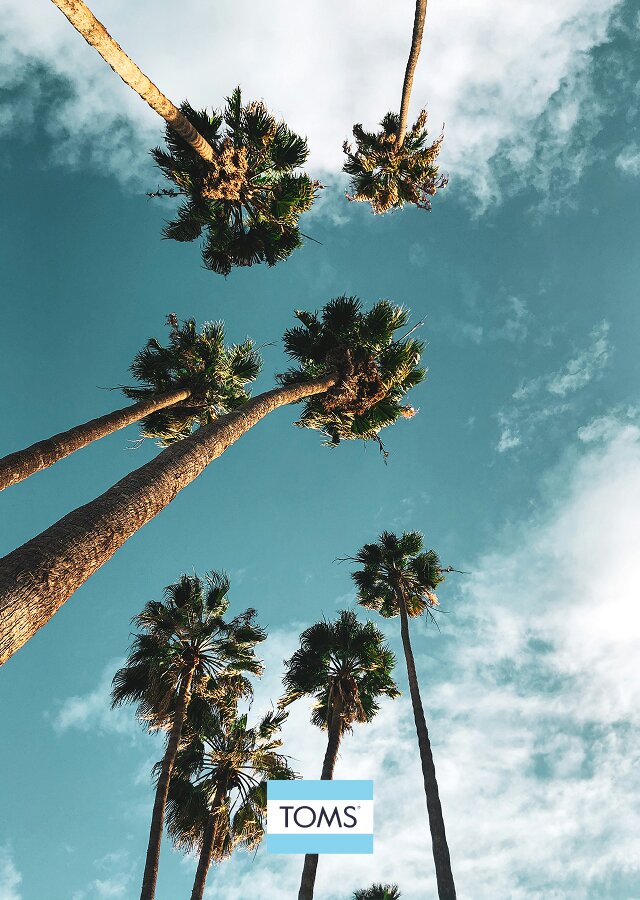 Palms