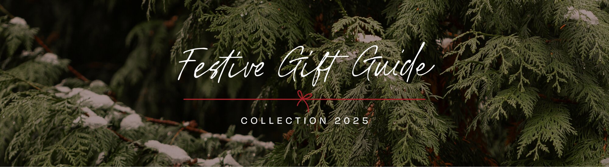 Le guide d’idées cadeaux. Collection 2025. Image de fond d'un sapin de Noël.