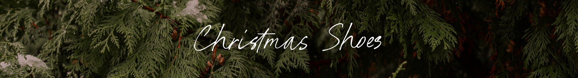 Christmas Shoes. Background image of fir tree.