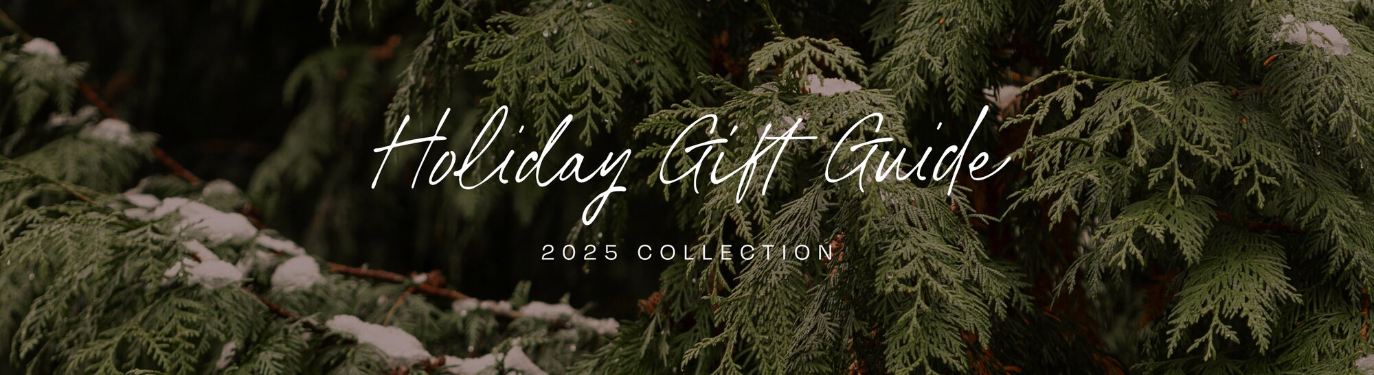 Holiday Gift Guide. 2025 Collection. Background image of fir tree.