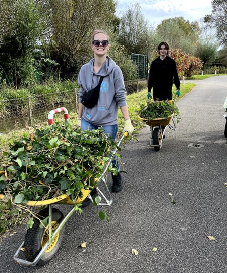 TOMS employees pushing wheelbarrows shown.