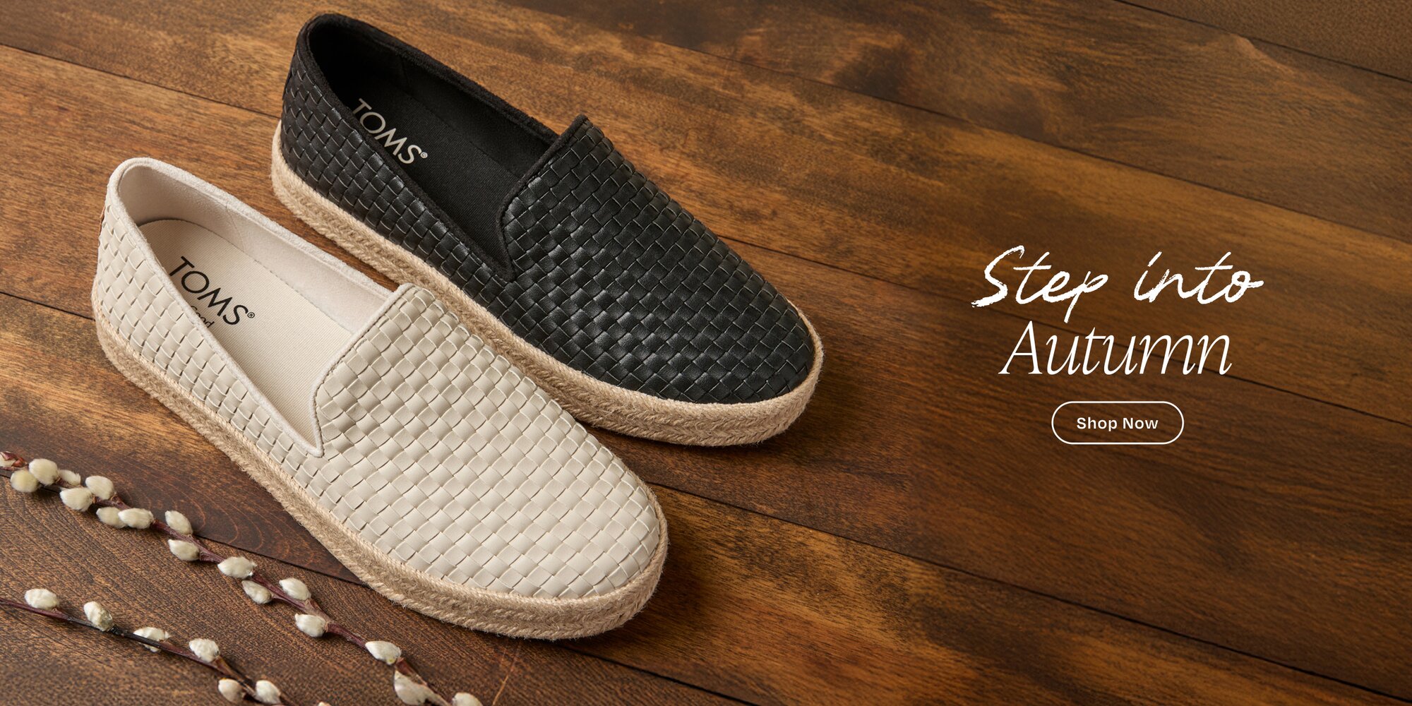Shop New Collection