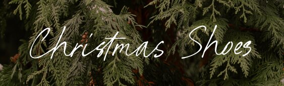 Christmas Shoes. Background image of fir tree.