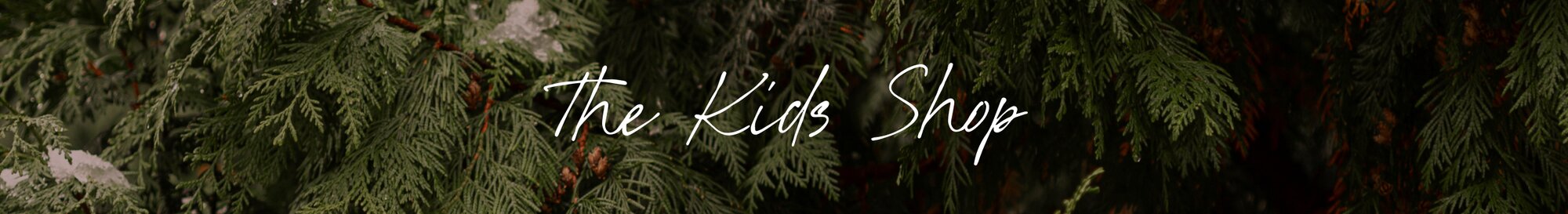 The Kids Shop.