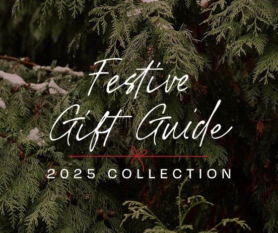 Festive Gift Guide. 2025 Collection. Background image of fir tree.