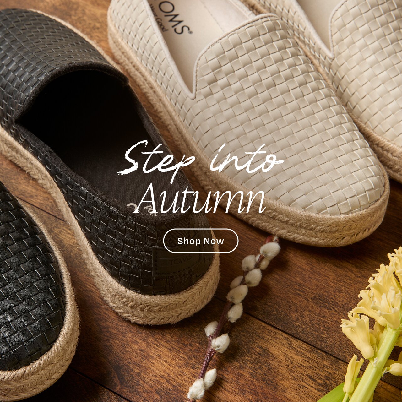 Shop New Collection