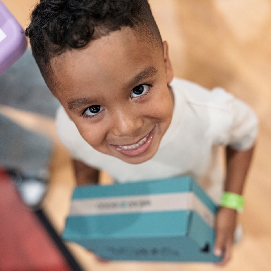 Een hond met een TOMS-halsband en riem afgebeeld.