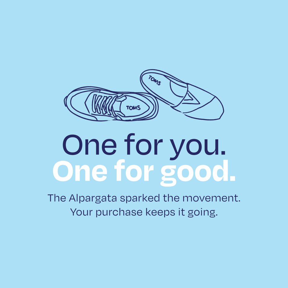 Een hond met een TOMS-halsband en riem afgebeeld.