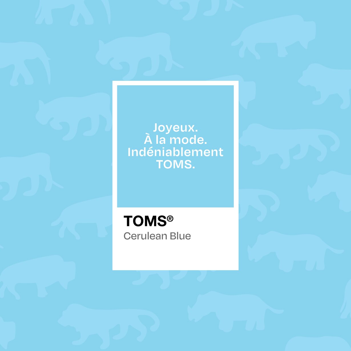 Hannah Bronfman smiling with flowers.