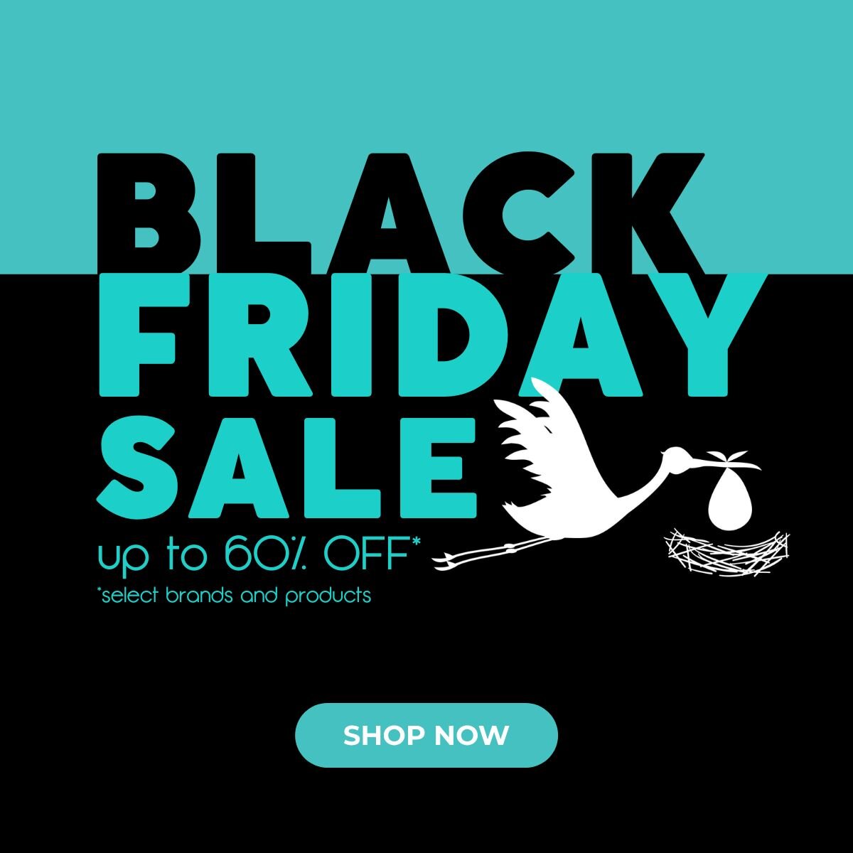 Black Friday Sale