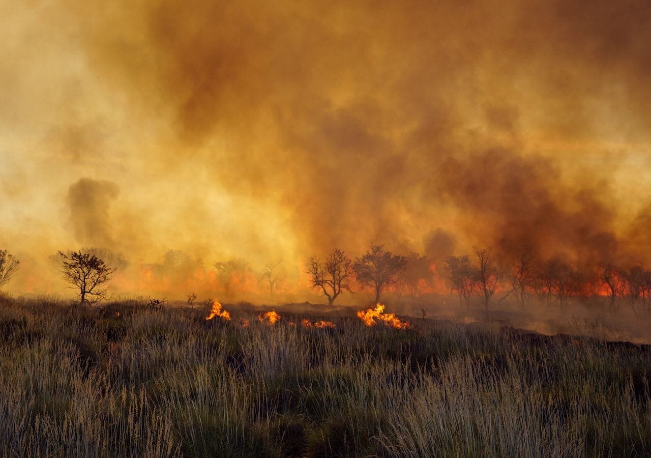 incendio forestal en México