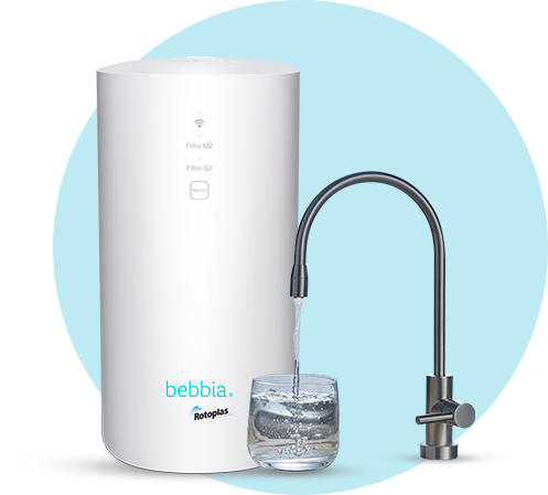 Bebbia Banner Blog