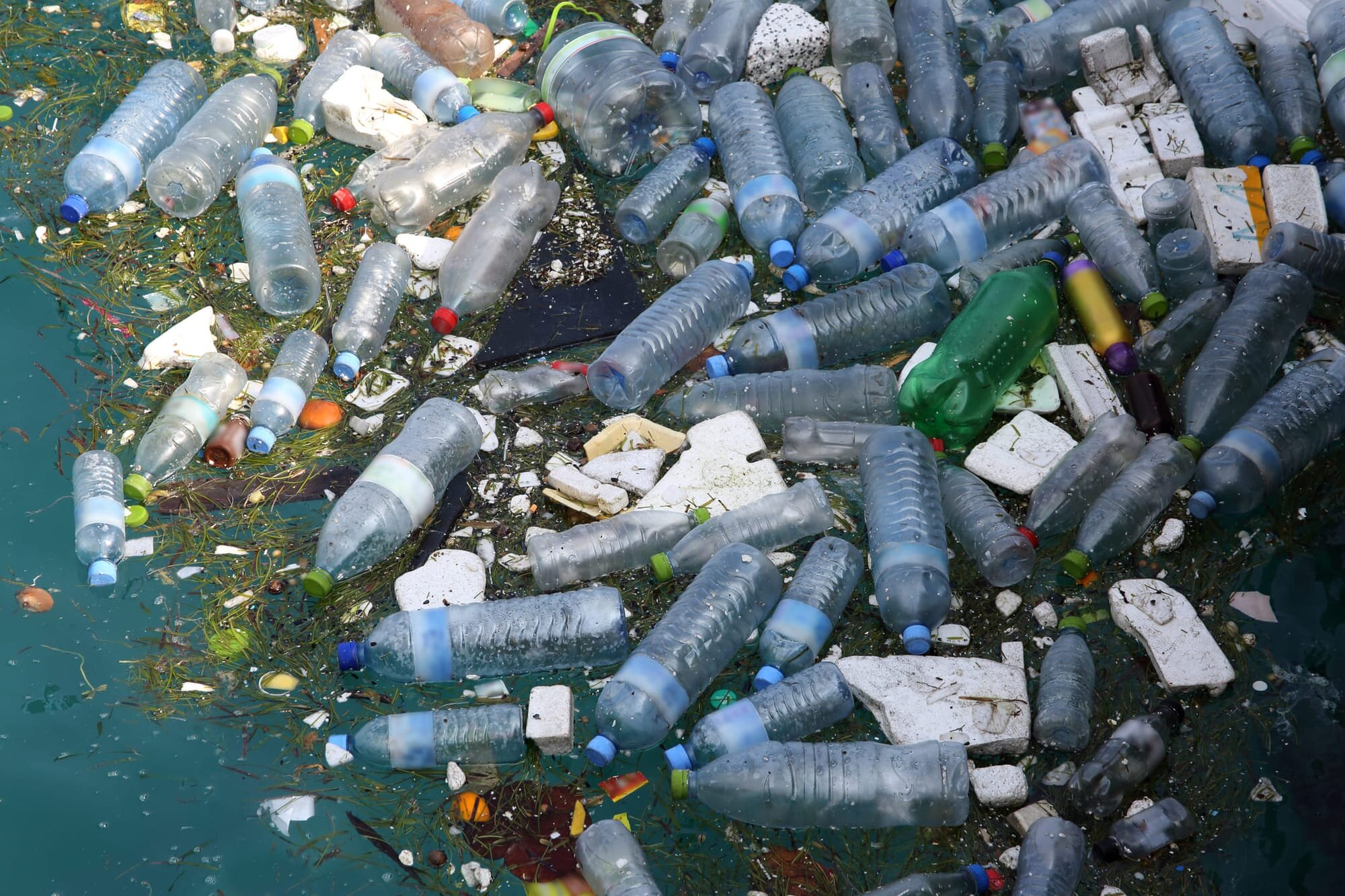 Desecho de botellas de PET