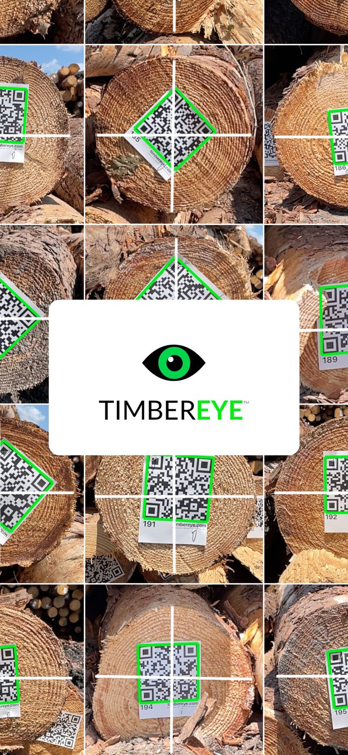 timbereye slider 1