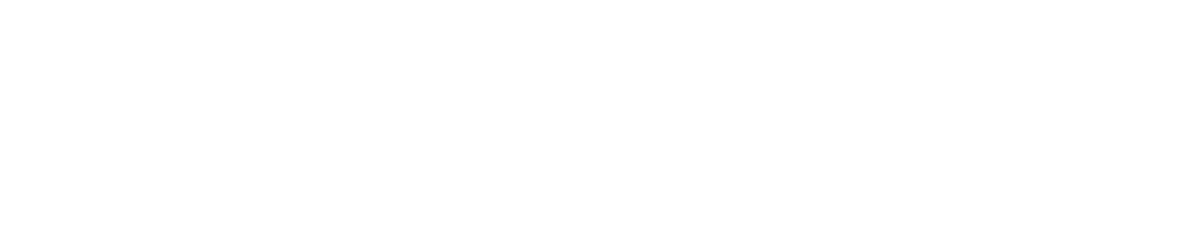 Z-Carb MD white line drawing