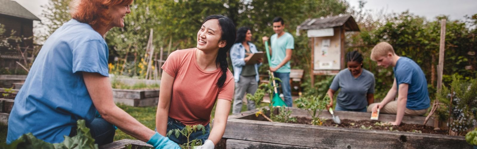 Group of people planting plants