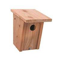 Bird House image