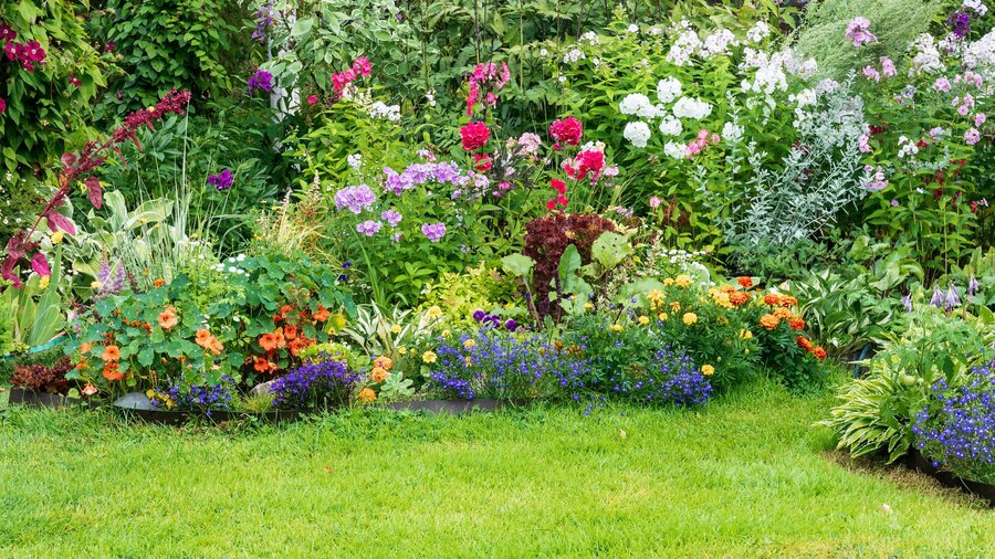 A spring garden in the PNW filled with annuals and perennials.