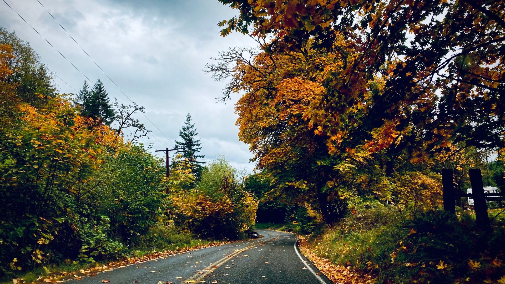 A fall country road in Oregon.