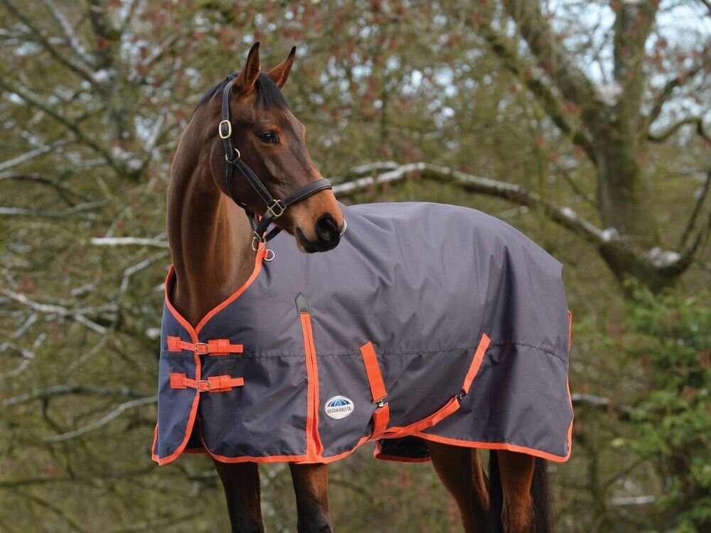 Safe Blanketing Practices: When & How to Blanket Your Horse
