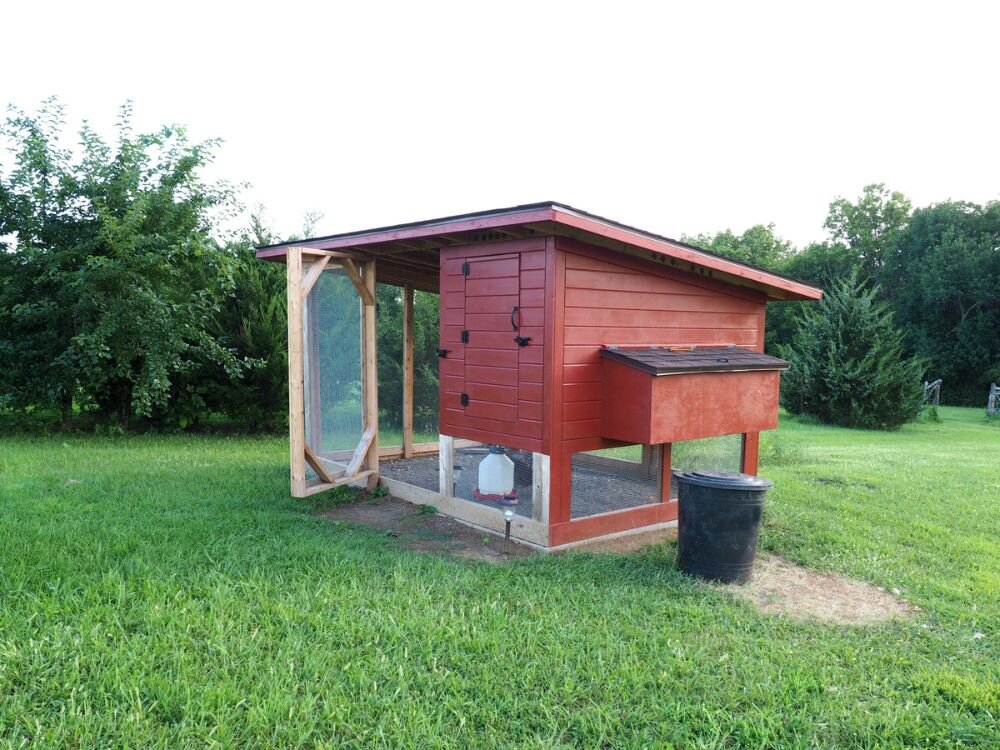 How Much Space Do Chickens Really Need? Coop & Run Planning Guide