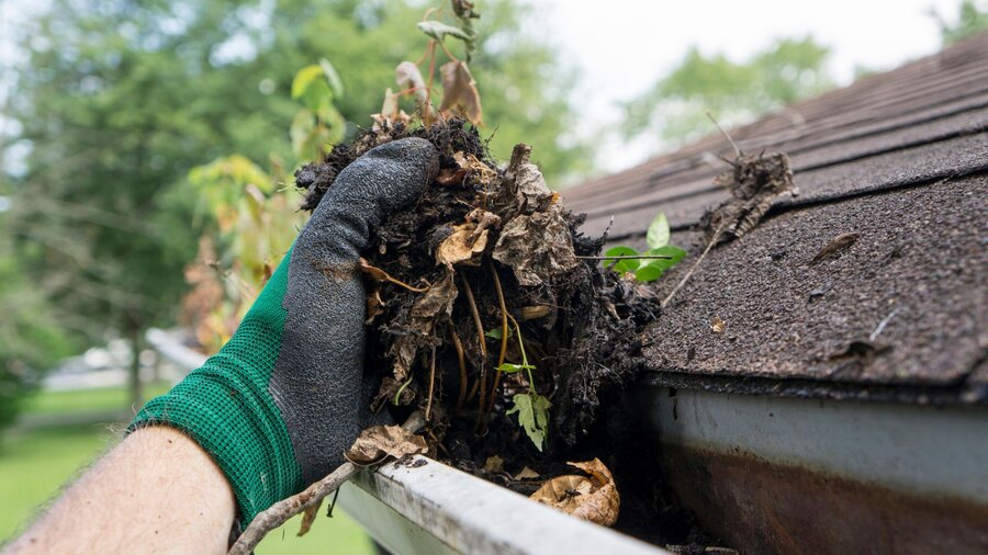 A person wearing gloves is cleaning out their gutter in Oregon.