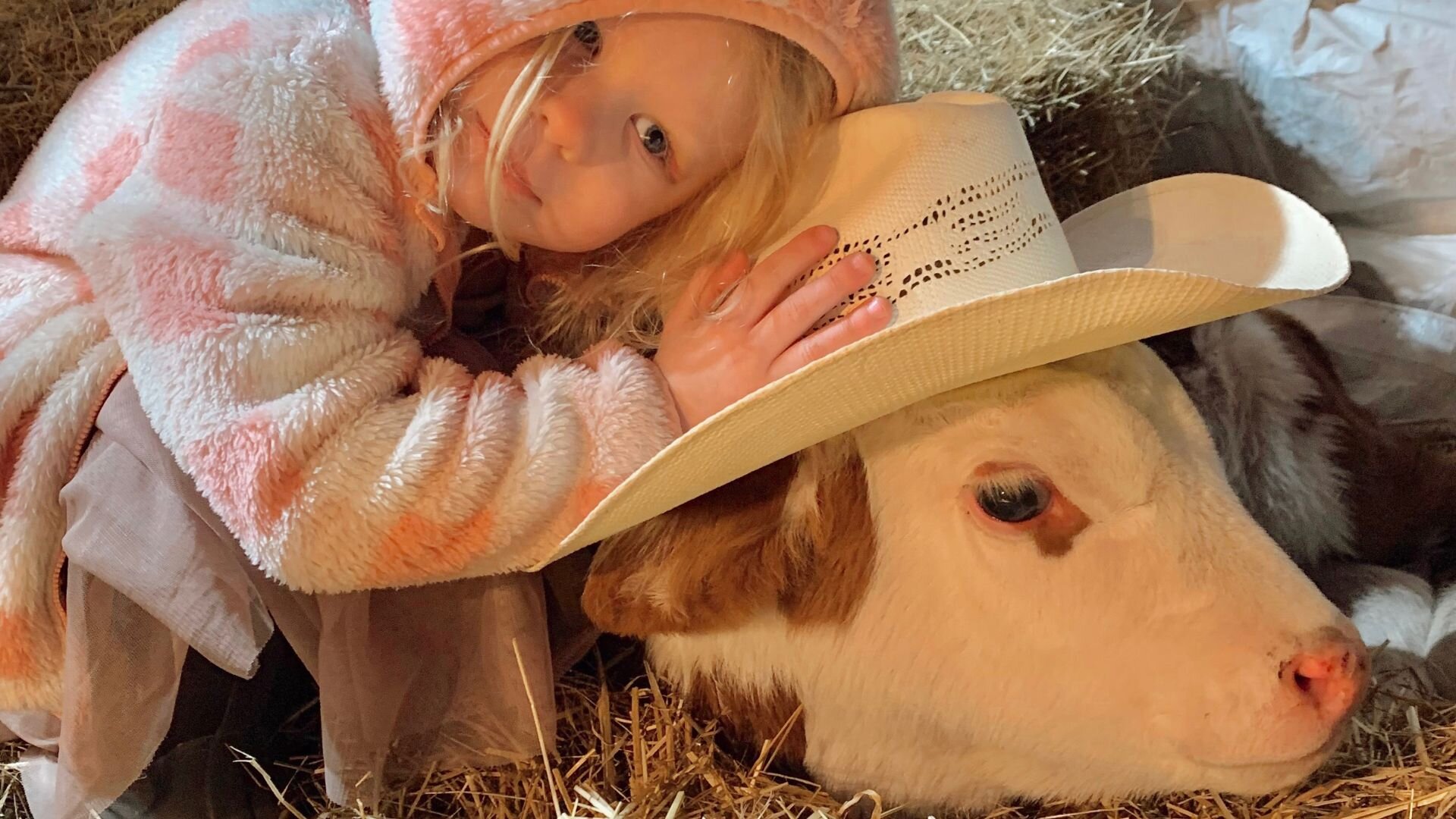 A little girl in a jacket cuddling a calf wearing a cowboy hat.