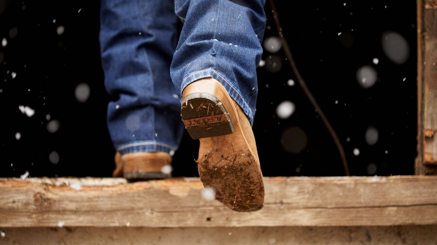 A large chicken coop in the woods.