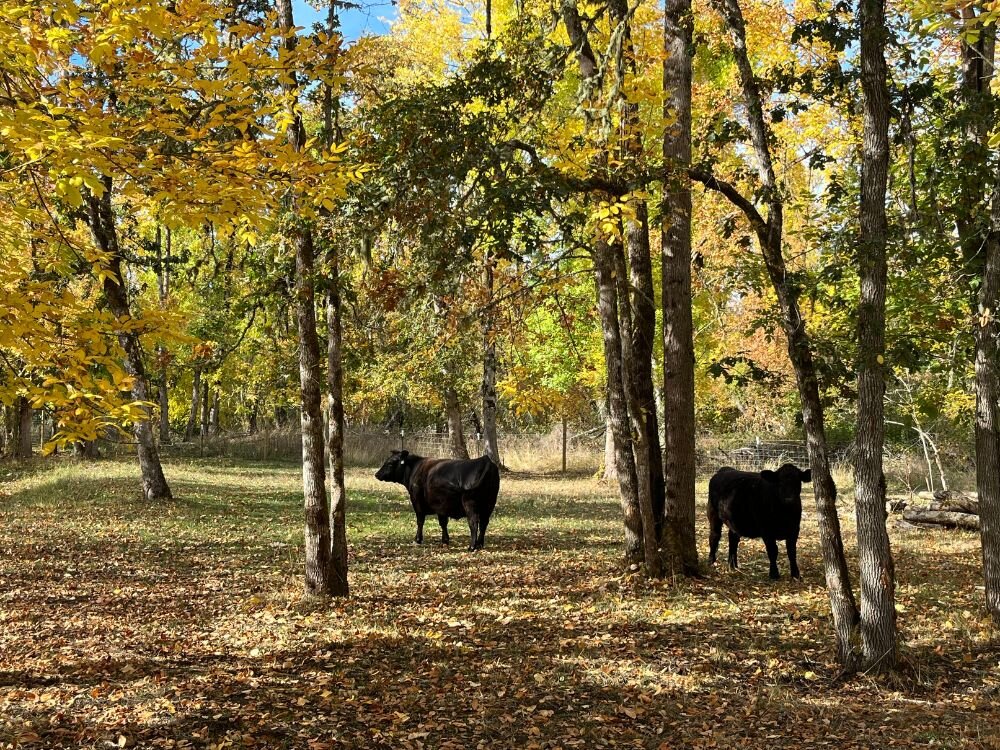 Your Fall Farm, Barn, & Field Checklist