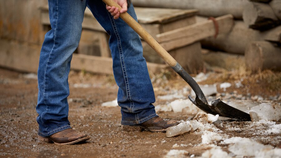 A large chicken coop in the woods.
