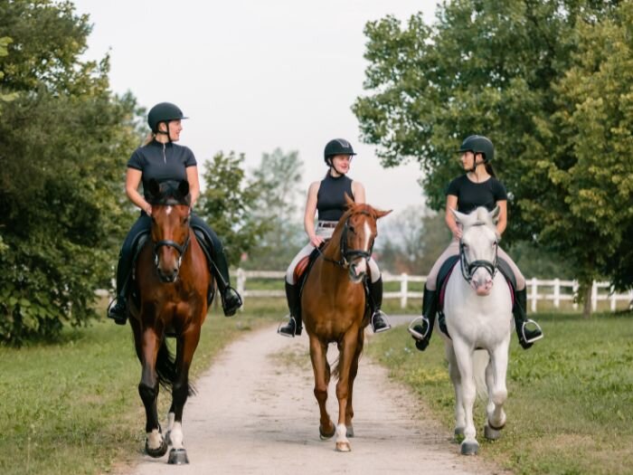 English vs. Western Horseback Riding