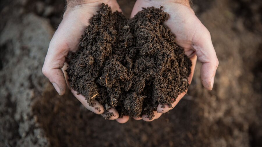 A man holds raised bed soil in his cupped hands.