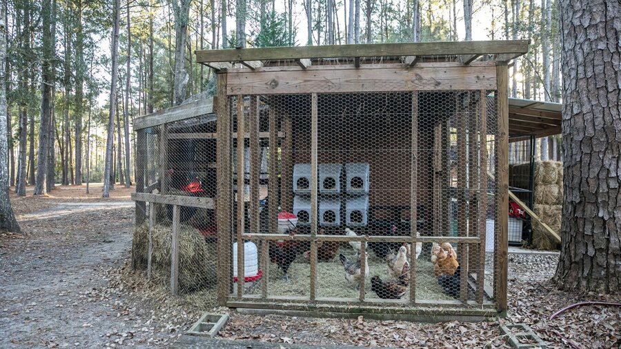 A large chicken coop in the woods.