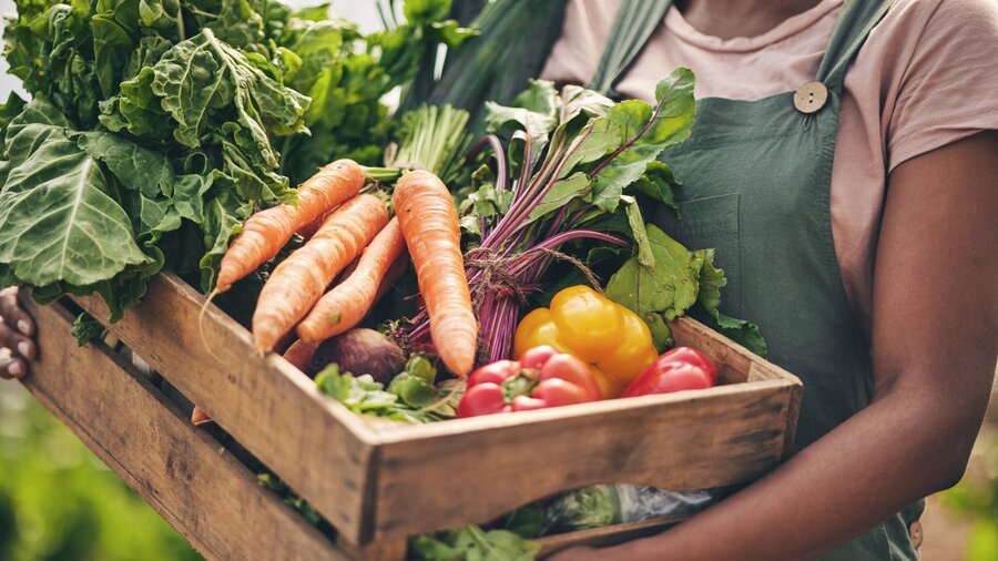 A woman holding a box filled with new spring vegetables from Log House.