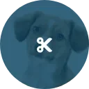 Full-Service Groom icon