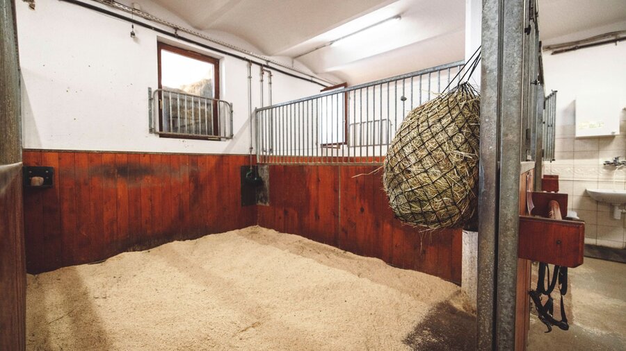 A freshly cleaned out horse stall filled with wood shavings.