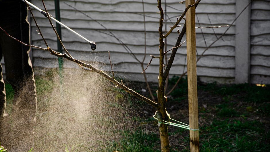 A person spraying their fruit trees with dormant oil during winter.
