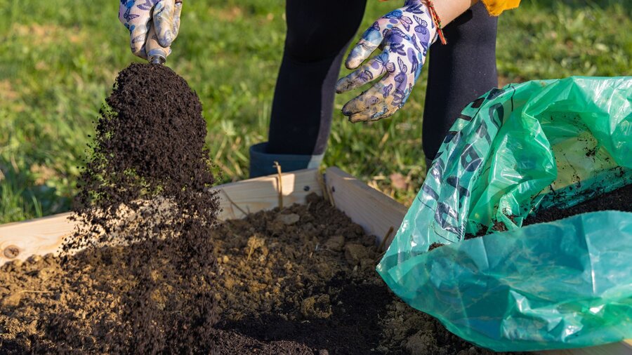 A woman adds organic matter to her raised bed soil.