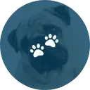 Wilco Works Plus icon