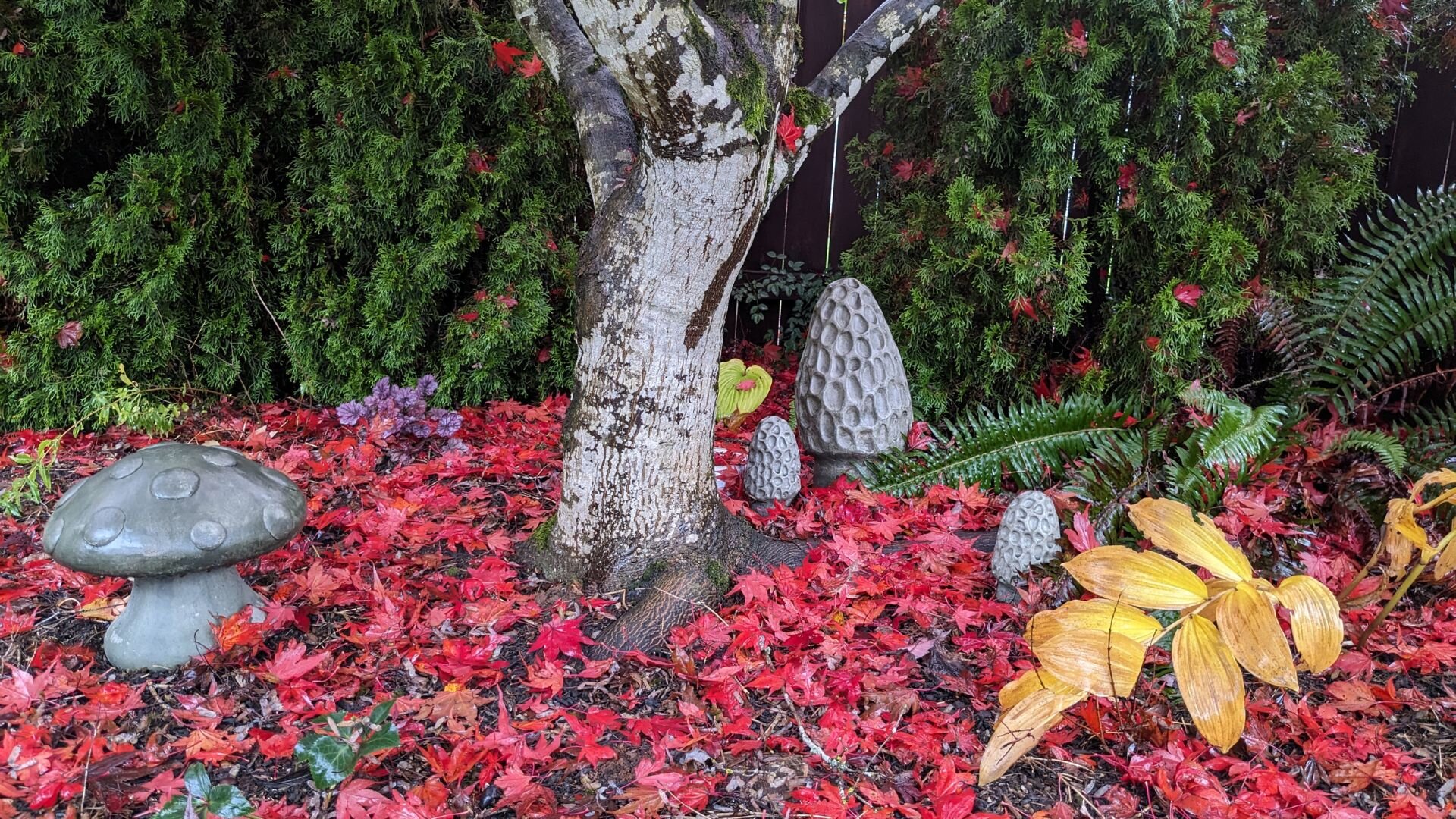 Red leaves on the ground around a tree in Oregon.
