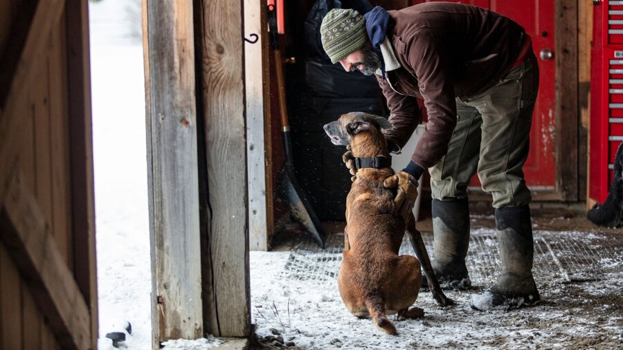 A large chicken coop in the woods.
