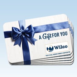 Bulk Gift Cards