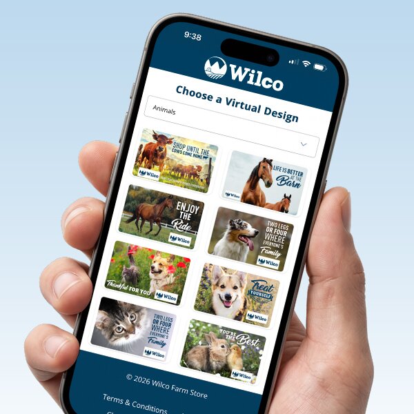Virtual Gift Cards