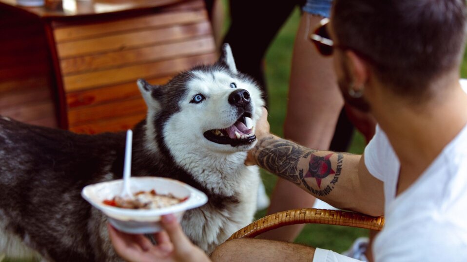 A man petting his dog at a backyard BBQ in the summer.