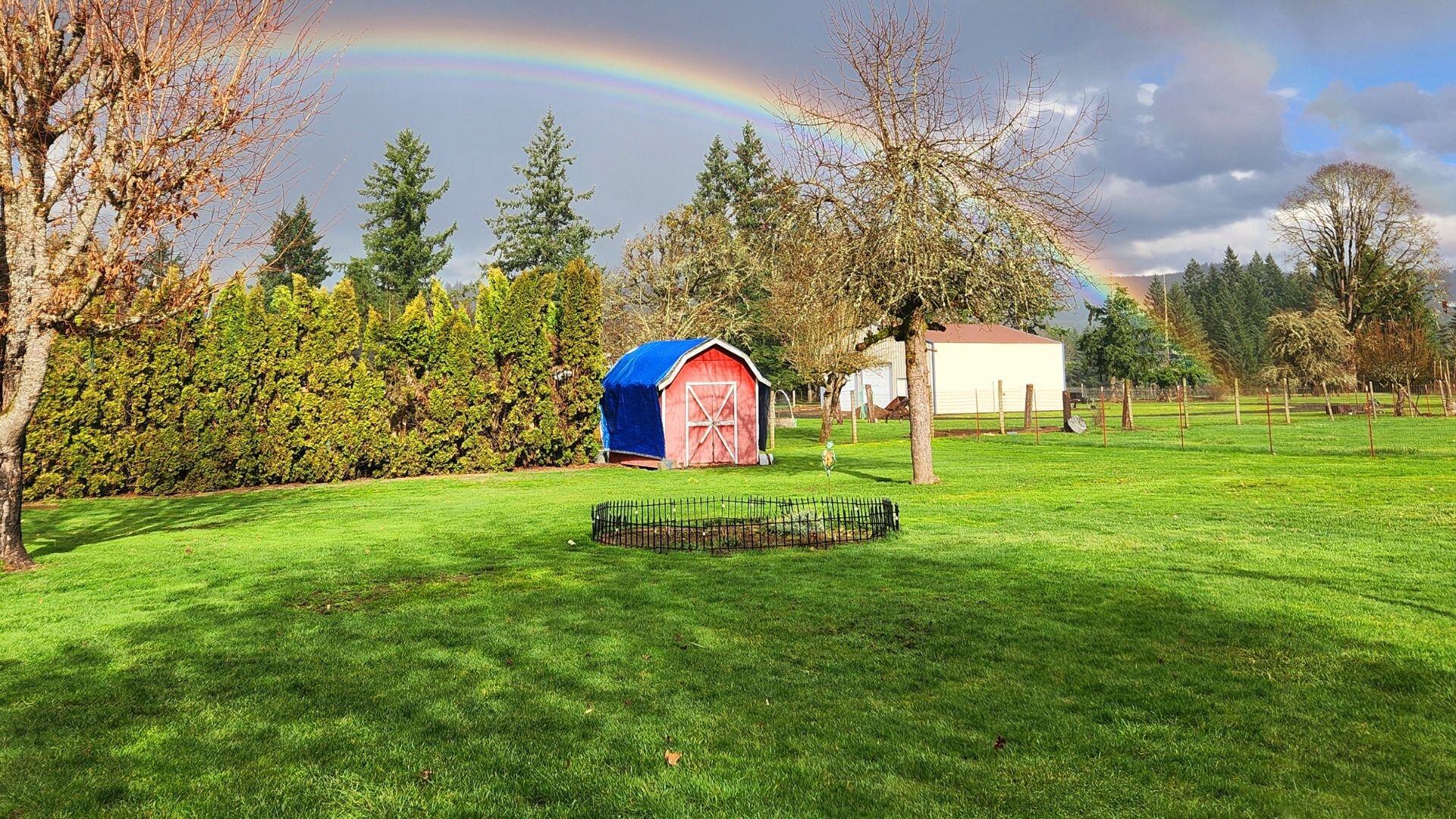 A shed in a backyard during fall with a rainbow in the background.