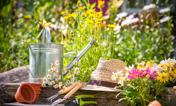 garden supplies