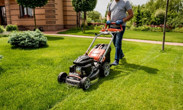 Garden Lawnmower